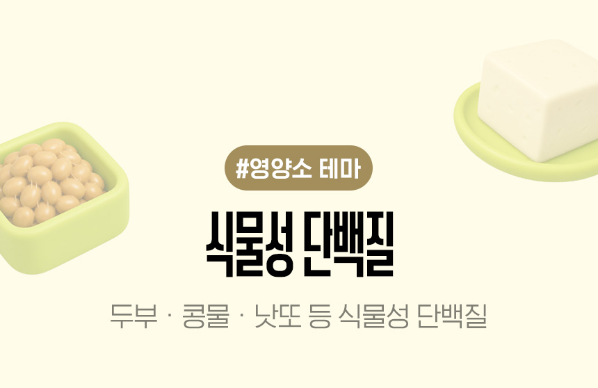 #영양소 테마 | 식물성 단백질 | 두부/콩물/낫또 등 식물성 단백질