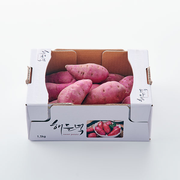 대표이미지